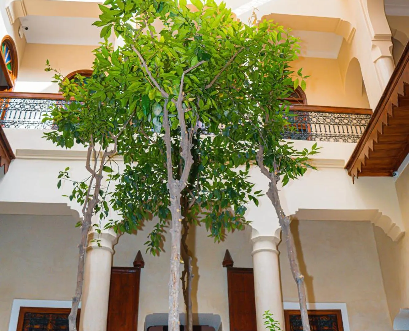Riad Dar Zaouia مراكش