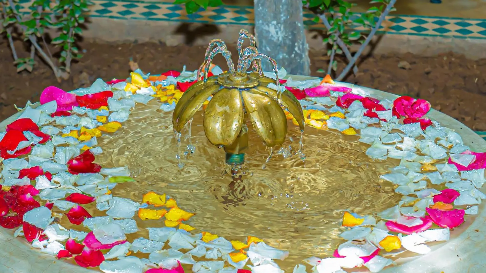 Riad Dar Zaouia Marrakesh